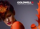 TRENDY 2012 GOLDWELL 2